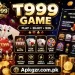 T999 Game